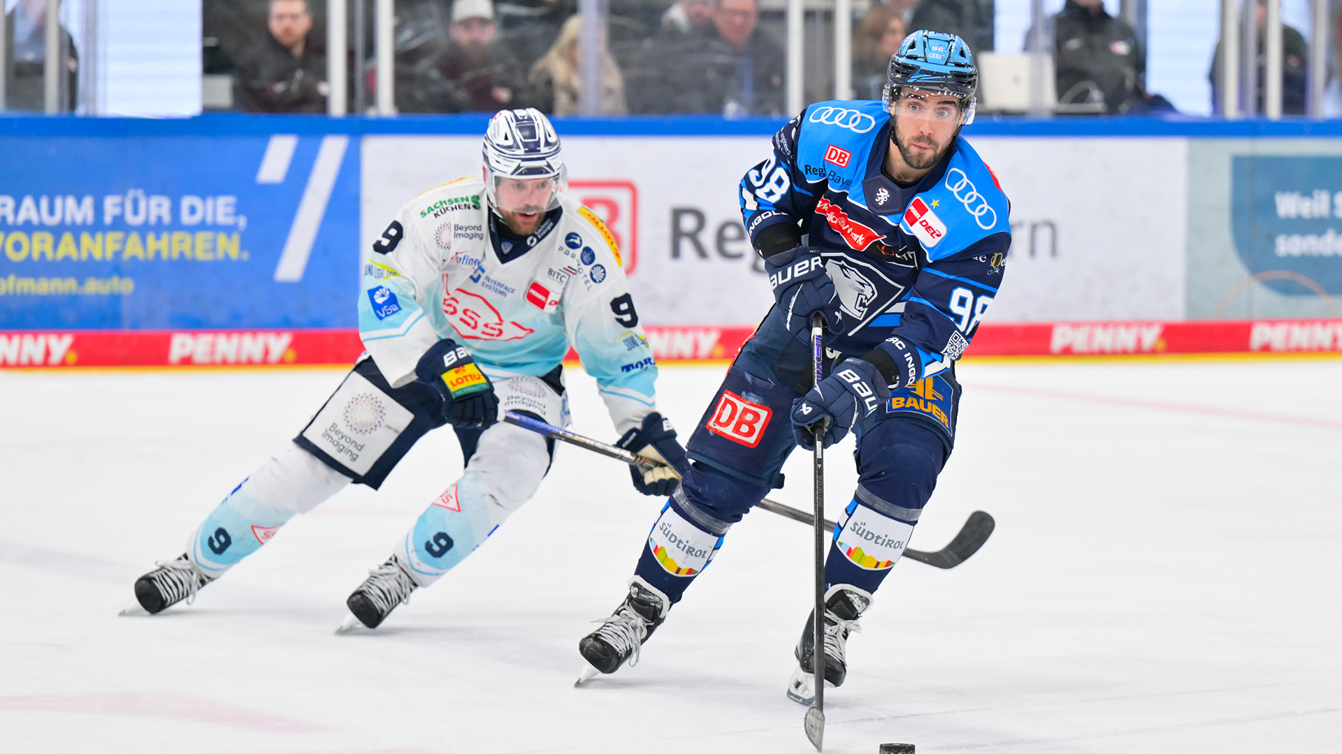 ERC Ingolstadt gg. Dresdner Eislöwen